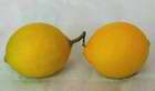 české balkonové citrony