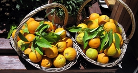 Pomerančový pozdrav z Kréty